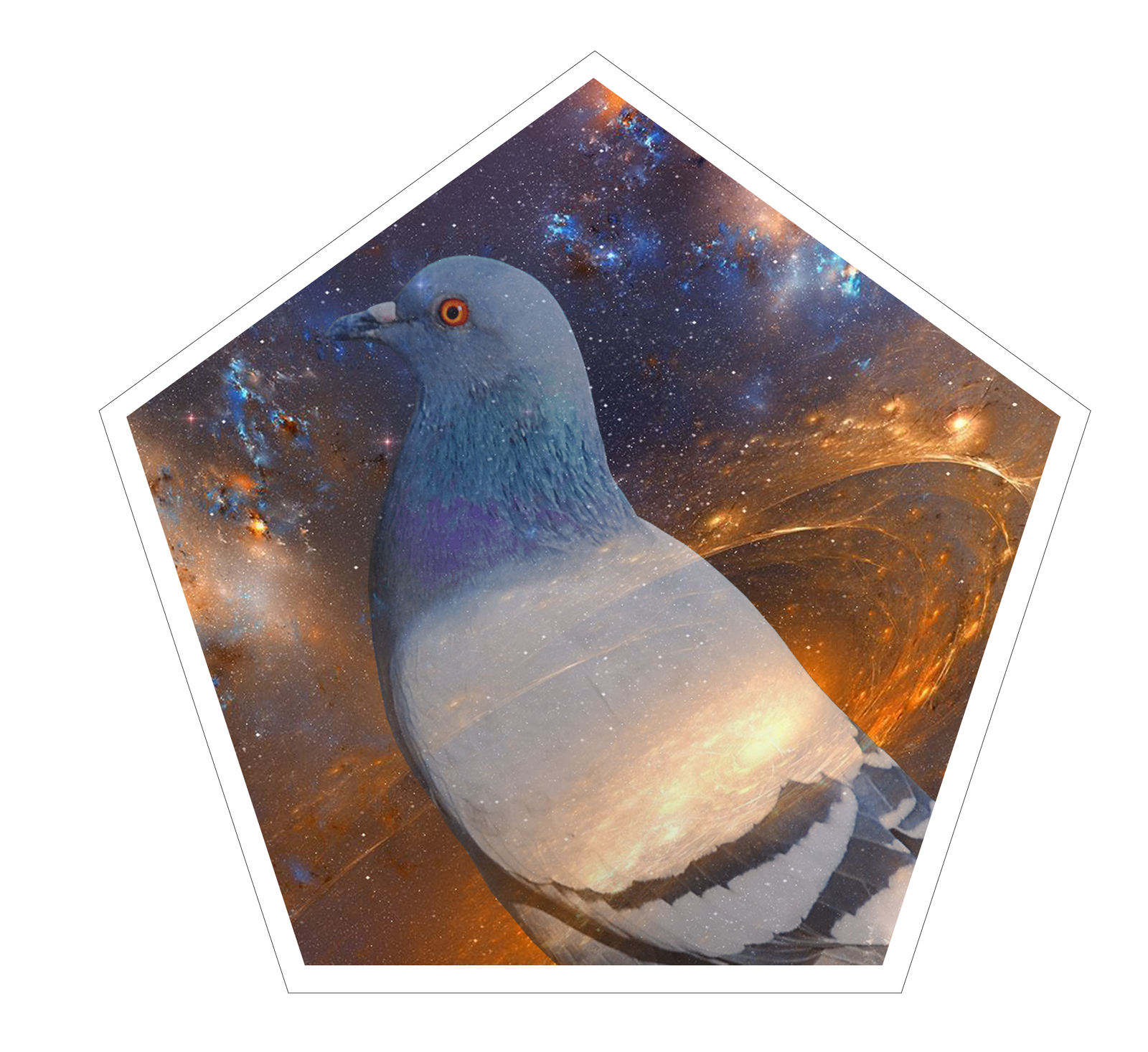 pigeon